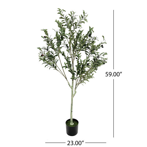 Primrue Aarav Faux Olive Tree Tree in Pot & Reviews Wayfair